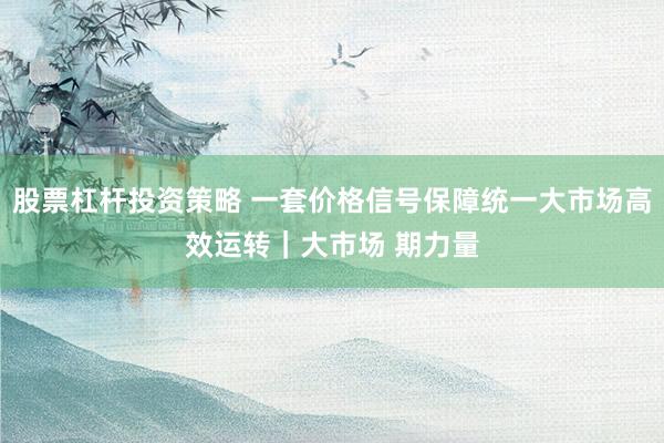 股票杠杆投资策略 一套价格信号保障统一大市场高效运转｜大市场 期力量