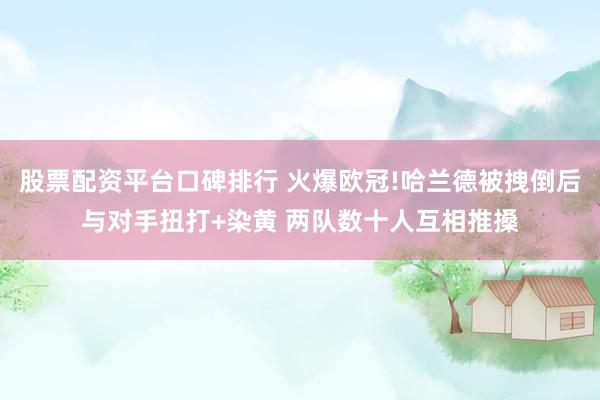 股票配资平台口碑排行 火爆欧冠!哈兰德被拽倒后与对手扭打+染黄 两队数十人互相推搡
